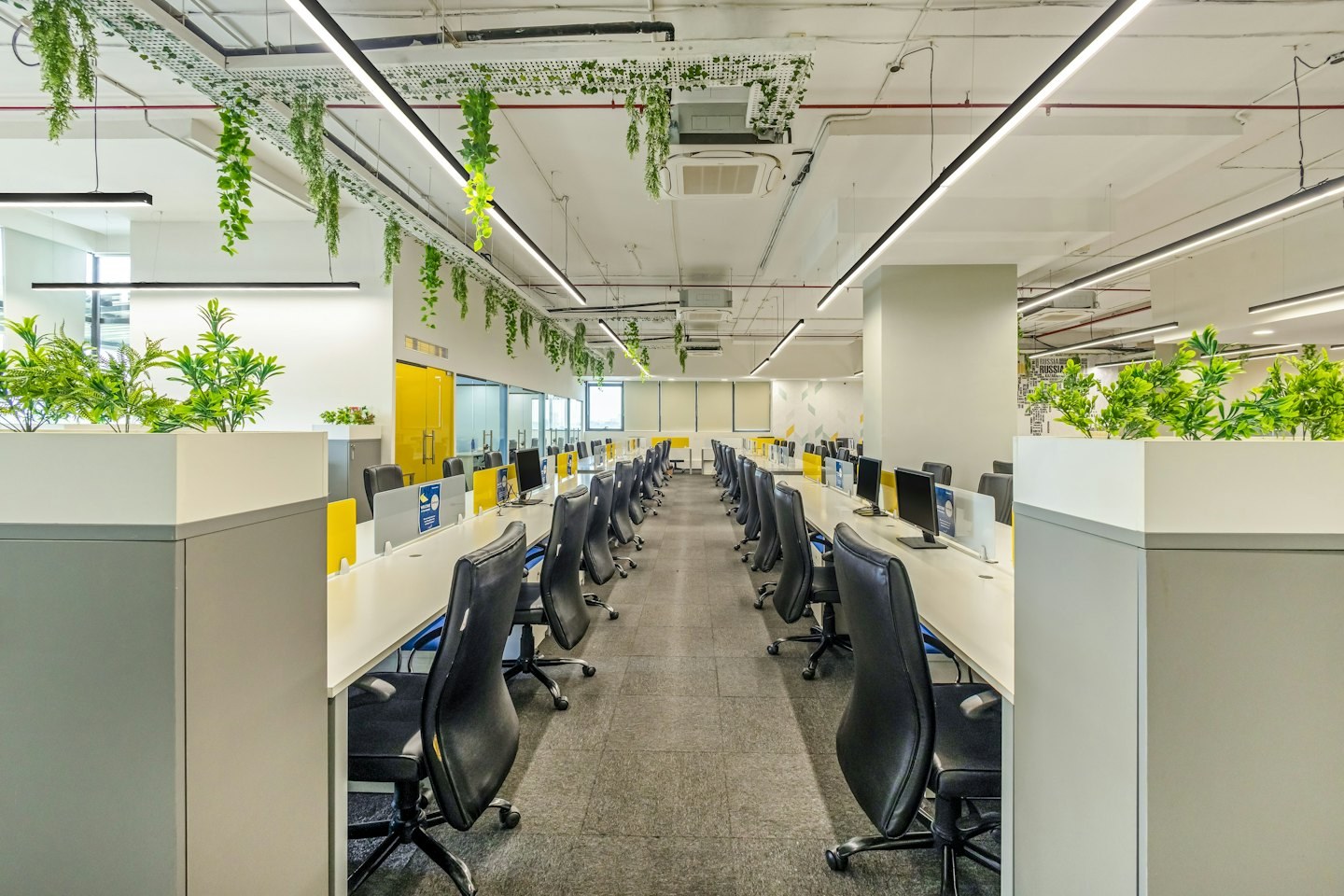 Open-plan office with rows of desks and plants