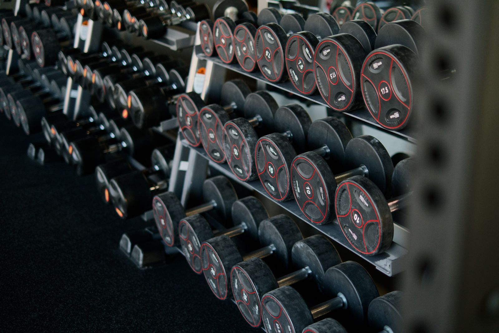 Rack of dumbbells in a gym